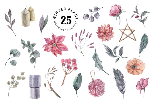 Watercolor Christmas Plants Clipart for Illustrations